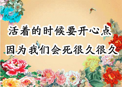 会动的照片大全,会动的11张图片