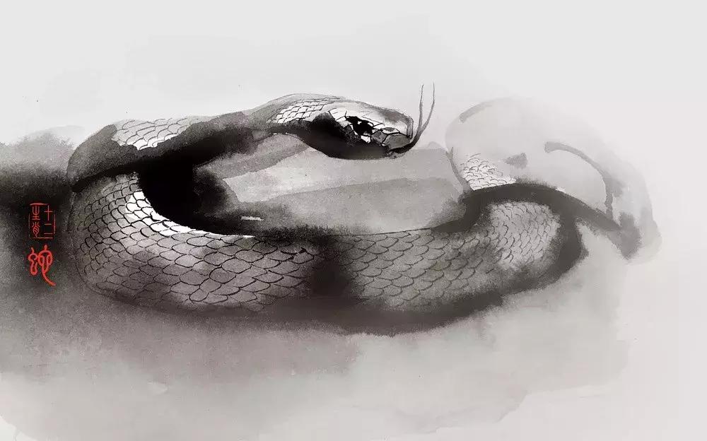 如何破解属相相合,属相相互克制怎么破解