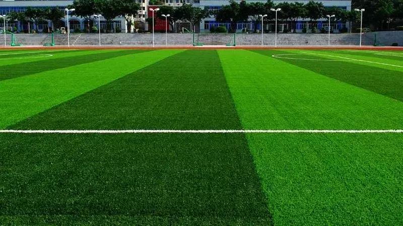 踢足球选择什么样的球鞋,踢足球选鞋子