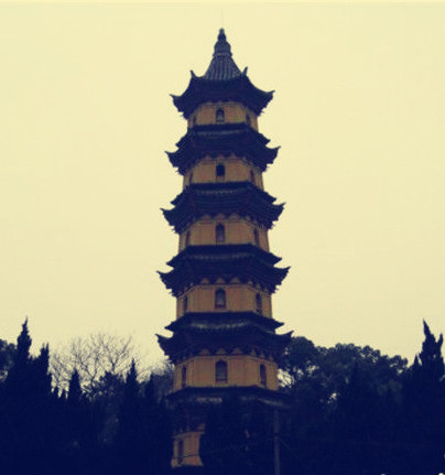 中国有19座释迦牟尼舍利都在哪,中国十九处供奉舍利的地方