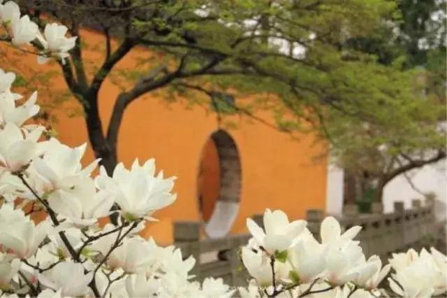 中华大地，每一寸河山，都饱含着文人骚客们的诗情画意