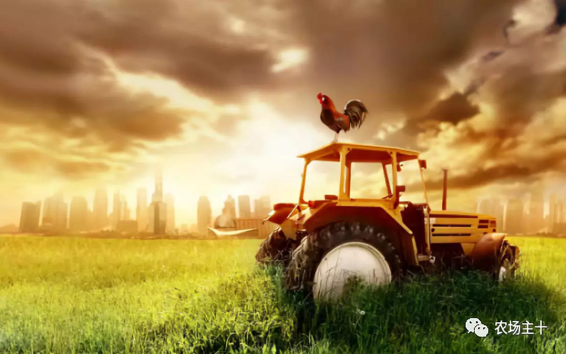 成为农业大户的条件,中国农场主的要求