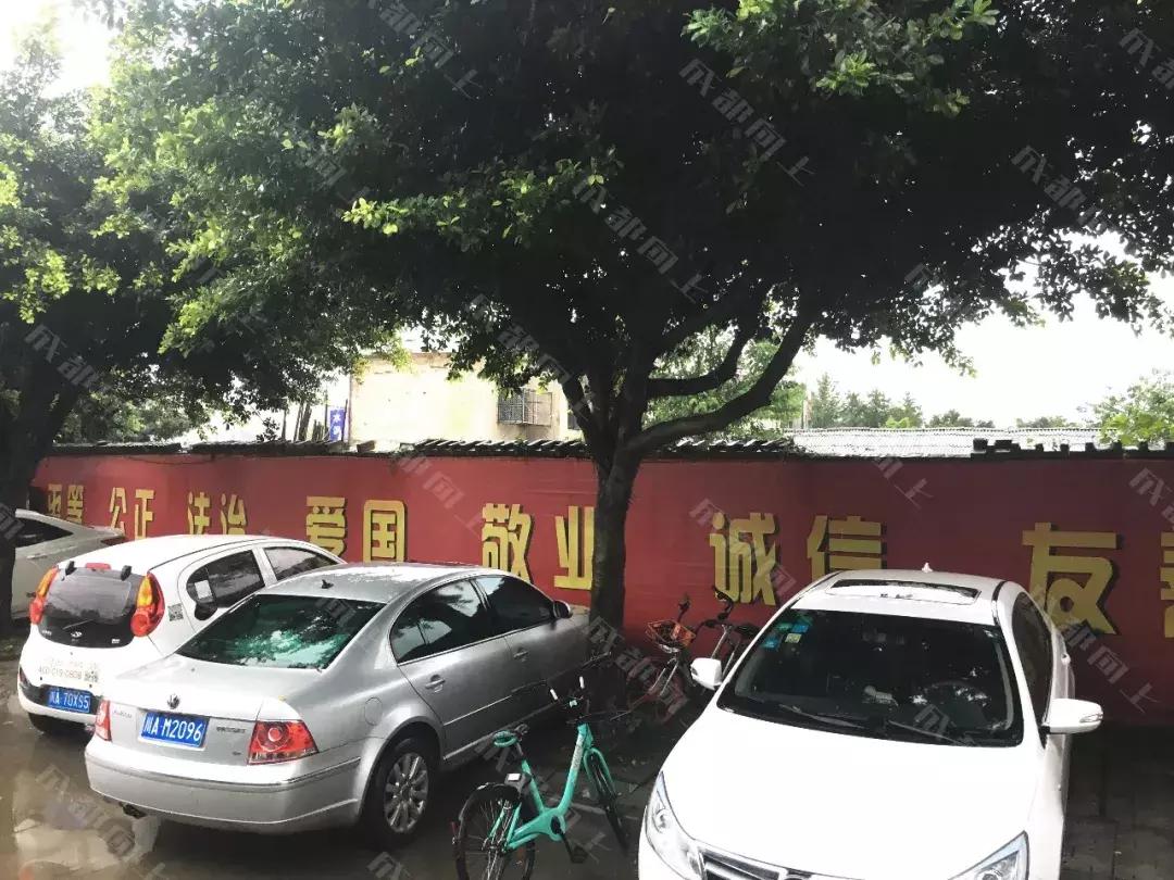 中和没商业的原因，终于被我们找到了