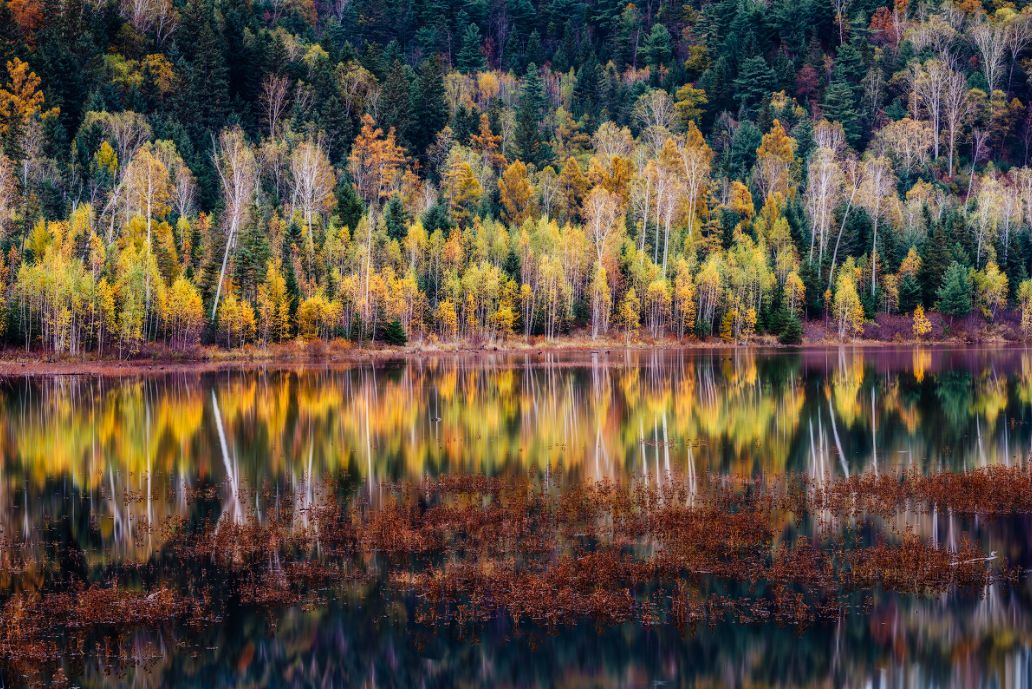 这些绝美小黄片,已经陆续在全国上线,找个时间去扫黄吧