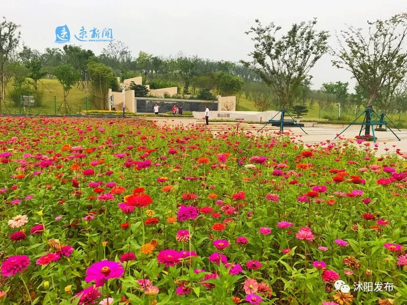 2021年沭阳重点工程项目,沭阳县新建工业项目