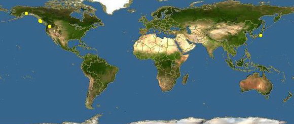 海边贝类种类,各种贝类的名称