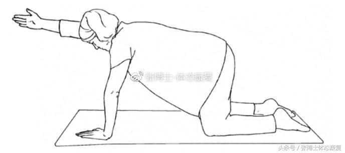 最全产后恢复体育动作,产后修复的健身动作