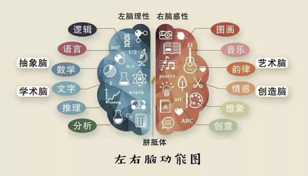 引领右脑全脑课程四大优势,右脑全脑开发的课程有哪些