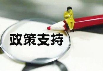 信息服务技术创业项目申报,国家级服务业标准化试点项目