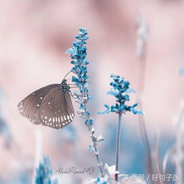 好听的qq个性签名大全,好听的qq个性签名英文