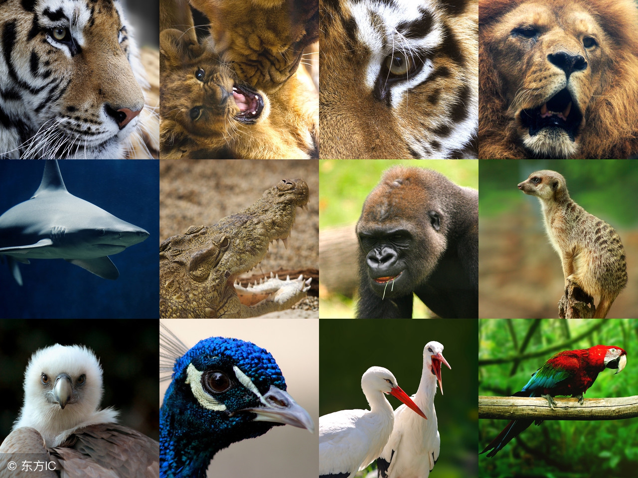 世界公认十大主题乐园 (盘点国外7大主题乐园)