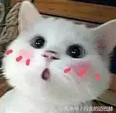 十大良心护肤品黑榜,扒一扒国内的护肤品黑料