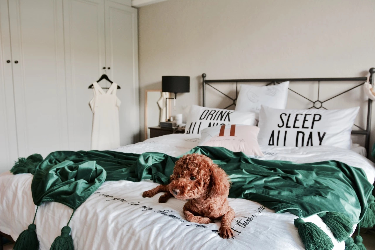 买什么木头的床最好?教你分清真假实木床!