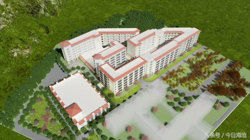 海沧区最近两年增加了哪些学校,厦门海沧学校规划