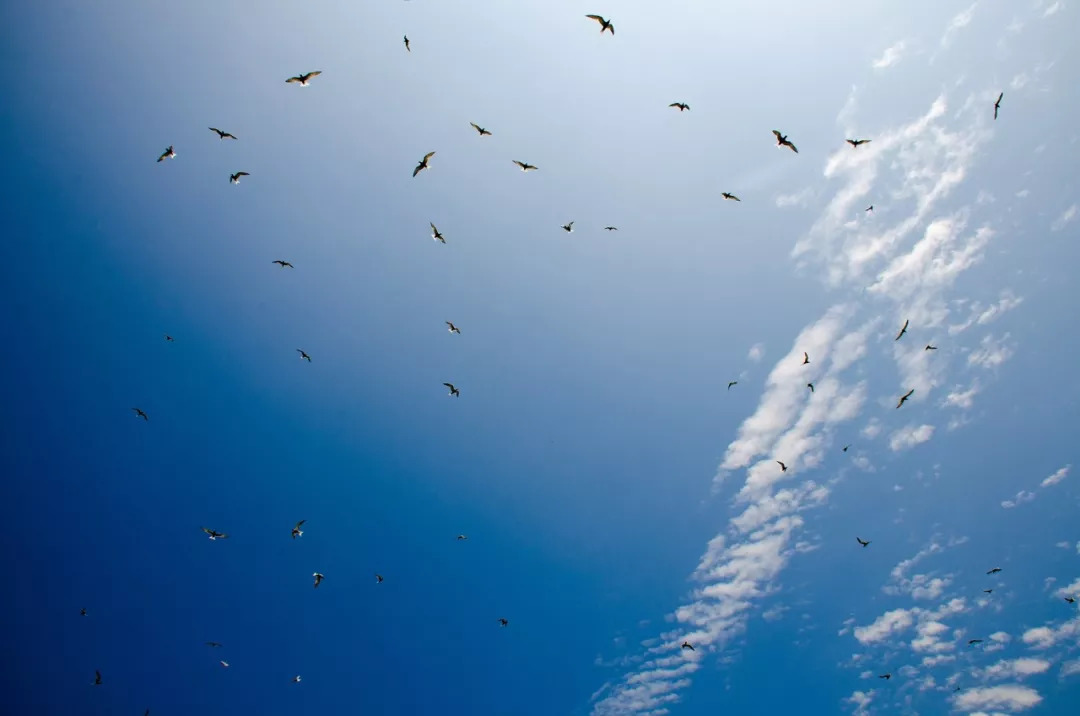 锦州空气质量调整,锦州空气质量