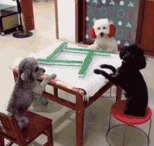 请问阁下可是向阳幼儿园扛把子？