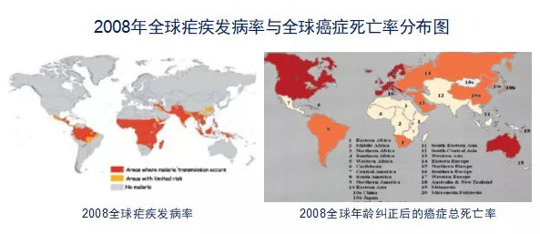 借“刀”杀癌疟原虫立功了!