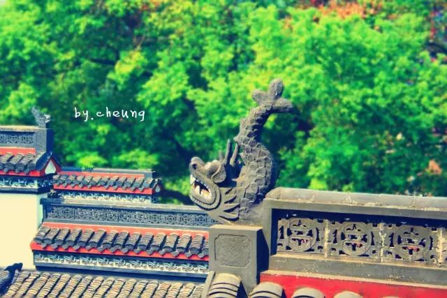 大陆内地坐高铁去香港旅行攻略,广深港高铁车票9月10日起发售