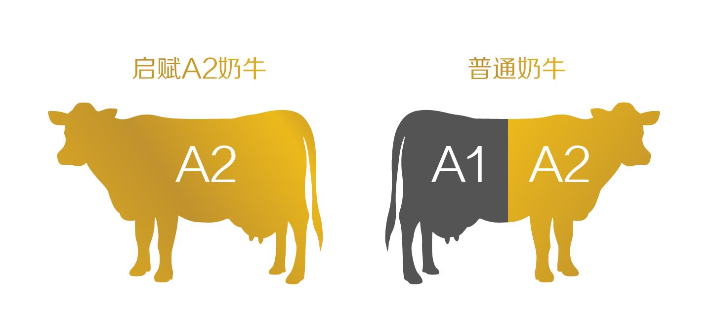 奶粉cpb是什么,奶粉里的cpb重要吗