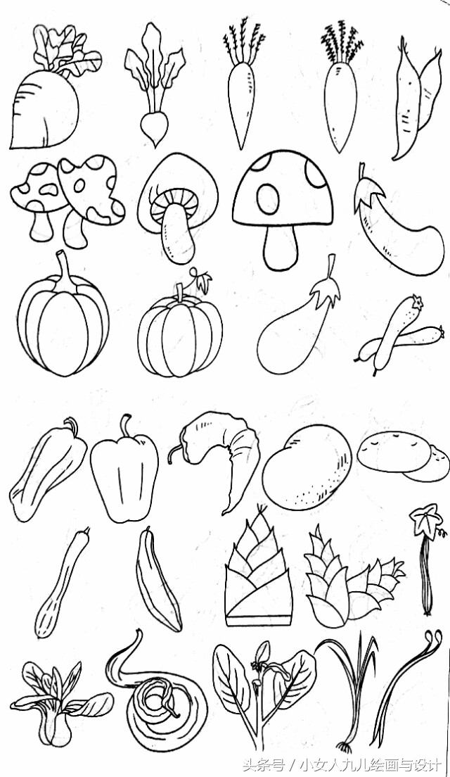 水果蔬菜简笔画线描组合,五六月应季水果和蔬菜简笔画
