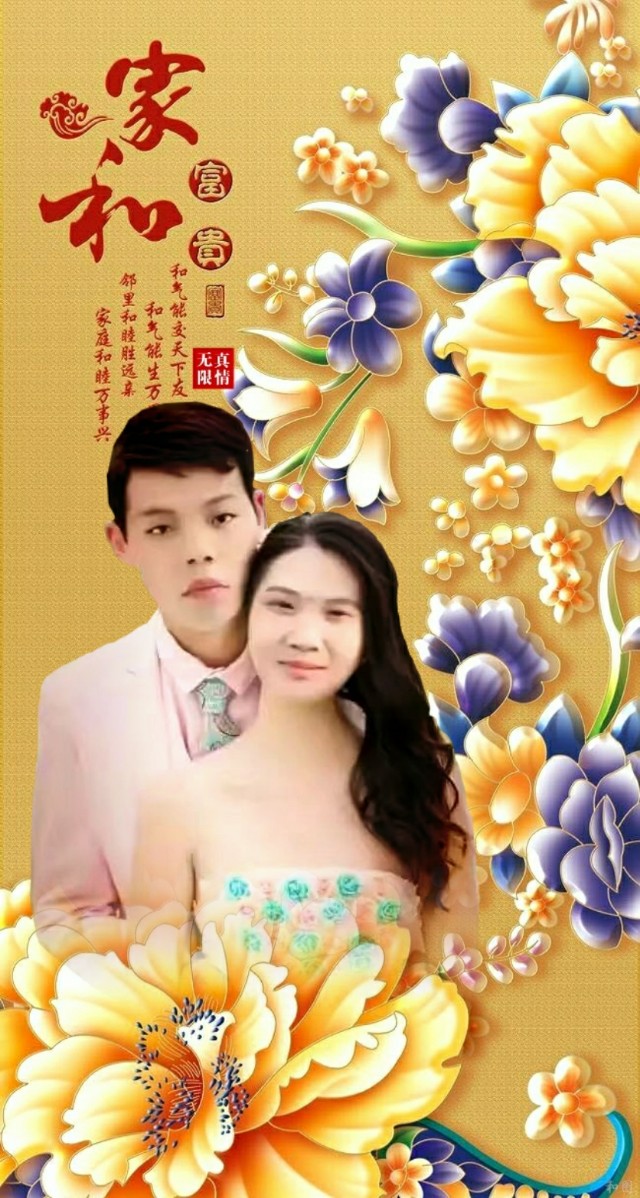 松鹤延年国画寓意,松鹤延年花语