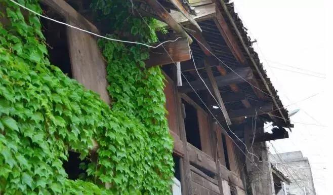 宜昌董市古镇,枝江市古镇