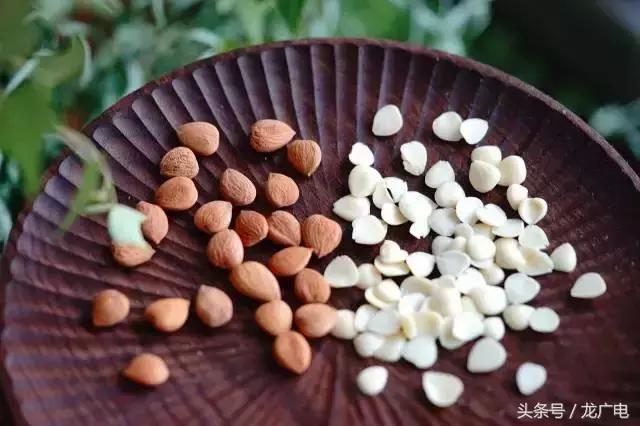 今天白露喝什么汤好,今天白露吃什么饭好呢