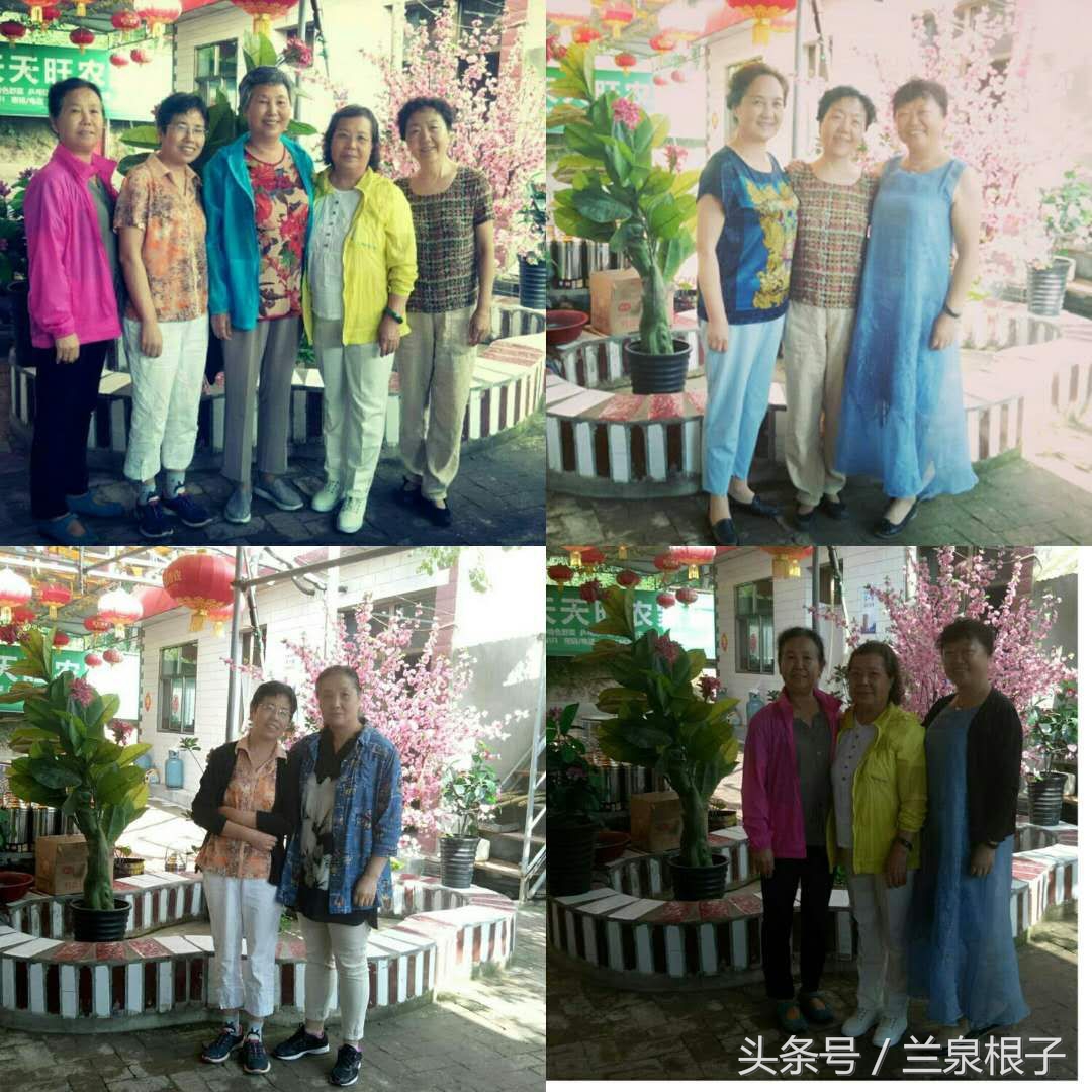 四十六年后再聚首,46年后的重逢