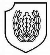 二战德国*党**卫军45个作战师的名称标志的由来以及他们之间的区别