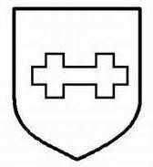 二战德国*党**卫军45个作战师的名称标志的由来以及他们之间的区别