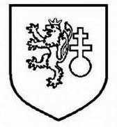 二战德国*党**卫军45个作战师的名称标志的由来以及他们之间的区别