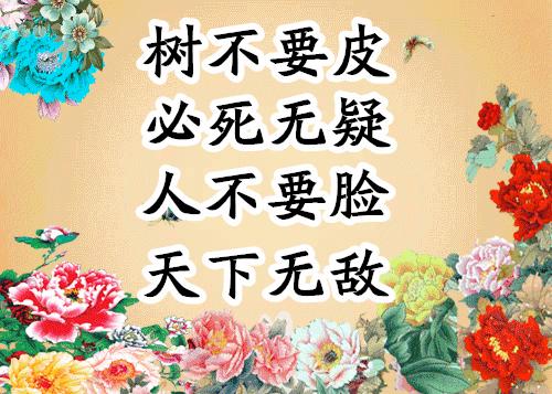 会动的图片大全大图,会动的花动态图片