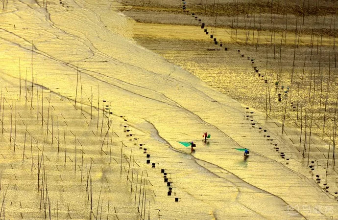 霞浦最值得去的岛,霞浦必去的几个岛屿