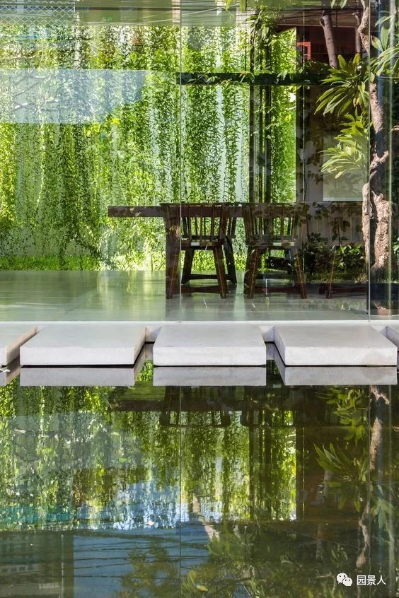 植物窗帘图案,植物窗帘效果图大全