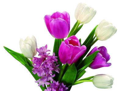 教师节送什么花朵,教师节送什么花给女朋友好