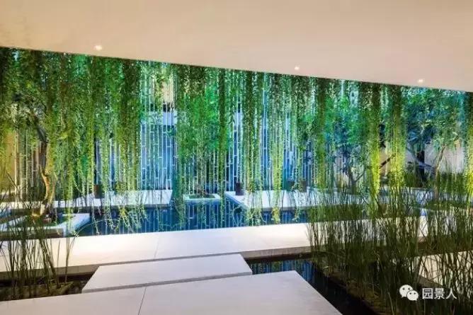 植物窗帘图案,植物窗帘效果图大全