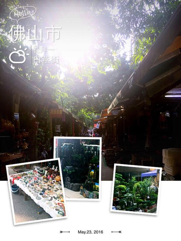 「龟友记录」萌妹子养龟全纪录（第一部）