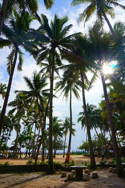 四人海口行，吃喝玩乐心情无限好