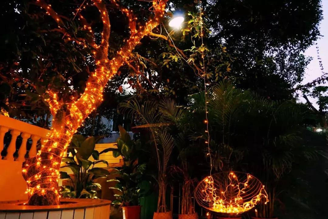 厦门白鹭洲筼筜湖西堤别墅民宿,去厦门推荐哪些酒店或民宿