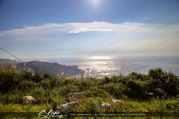 舟山海岛旅游攻略枸杞岛,舟山群岛值得去的小岛