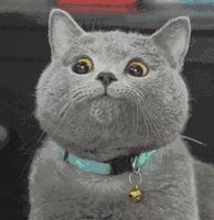 成都一日游免费最佳去处,成都温江十大景点免费