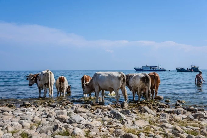 我们异地了24年，在你88岁时去莫斯科娶你——今夕传媒旅行家出品