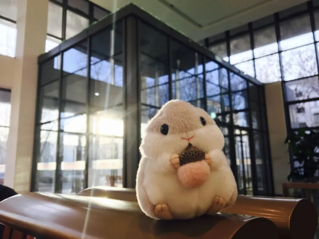 北航和农大,北航的八大学院