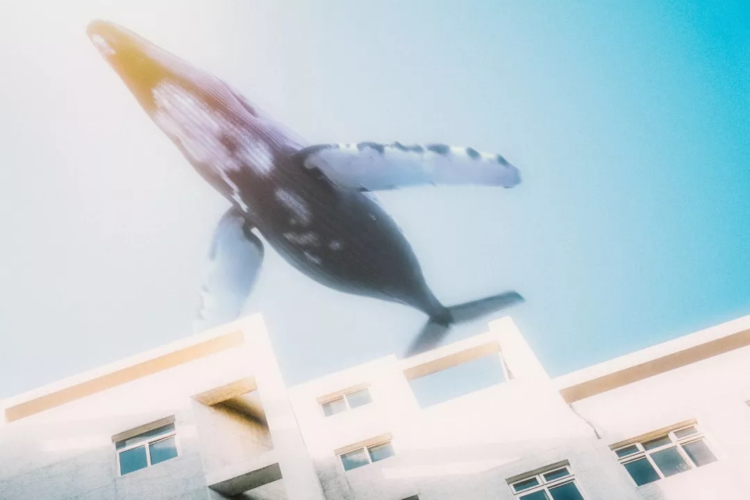 北航和农大,北航的八大学院