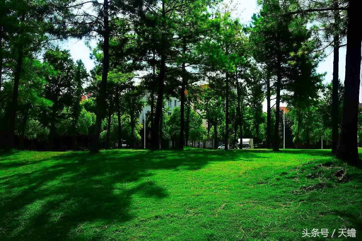 上海美兰湖,上海美兰湖别墅