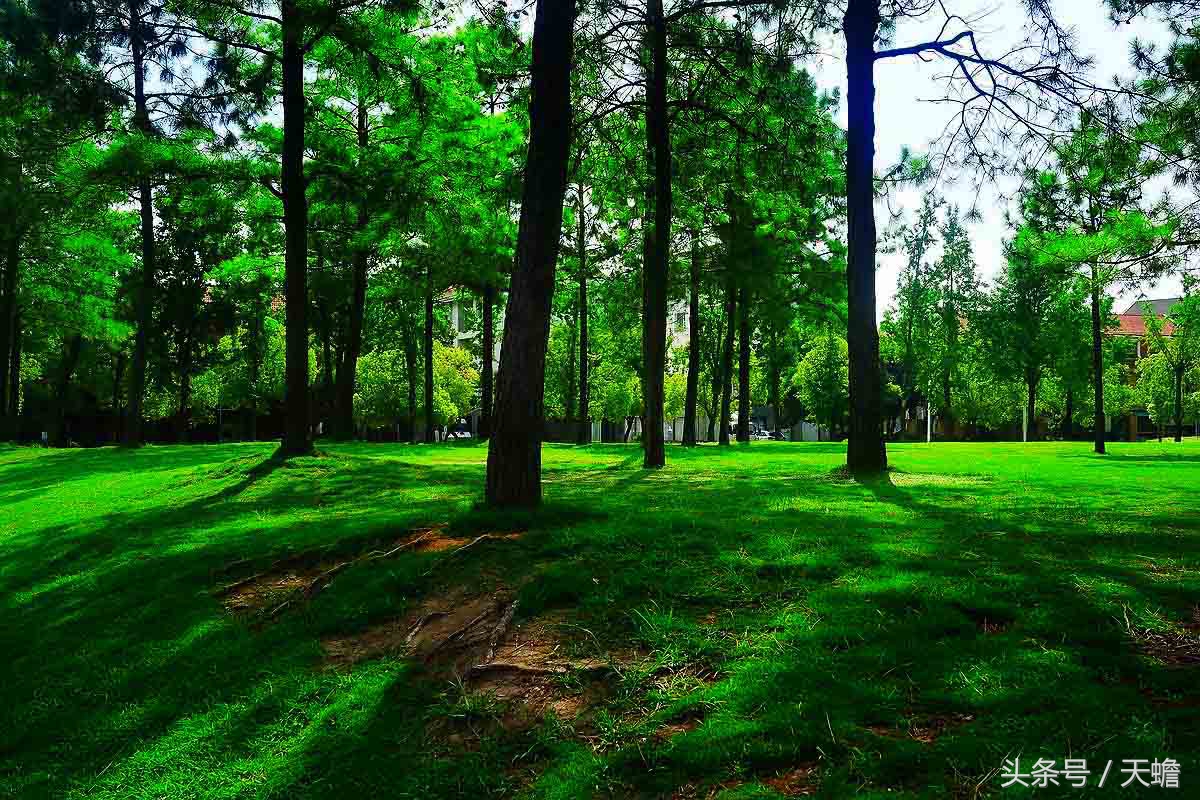 上海美兰湖,上海美兰湖别墅