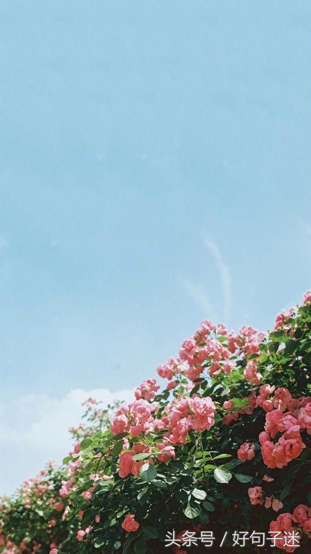 精辟有深度的签名,心情语录精致走心句句说到心窝上