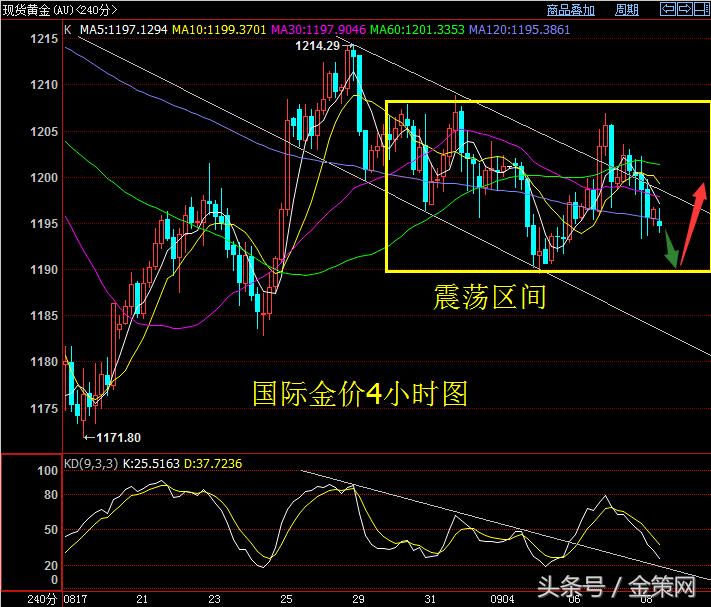 金策网最新研究进展,金策网最新消息