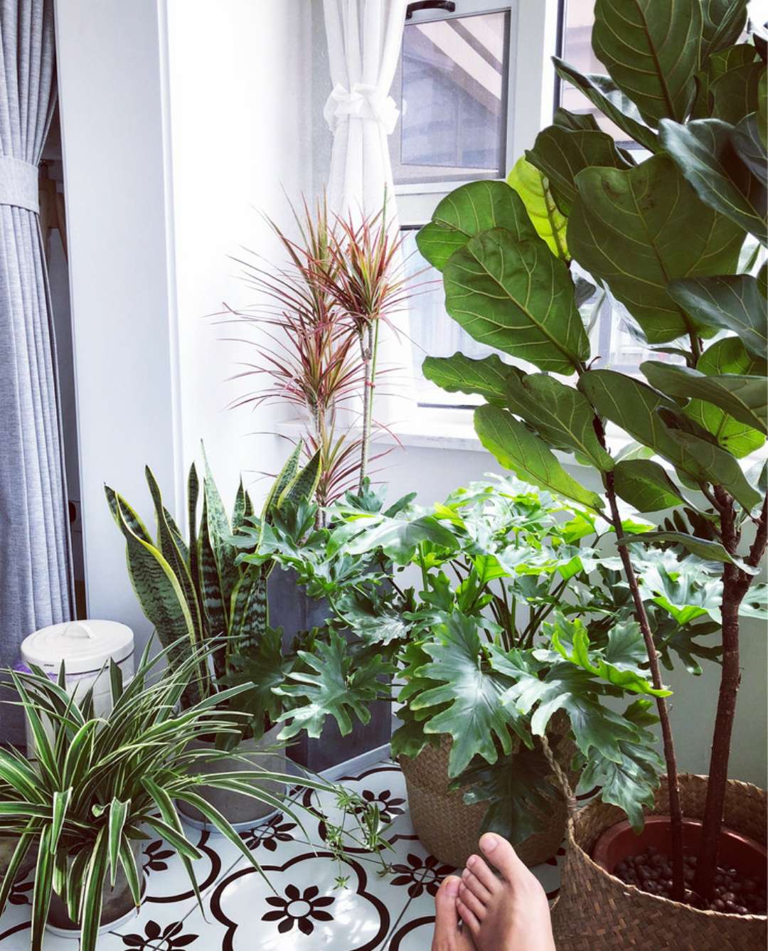 旅行爱好者装修房间,旅行博主改造农村小院