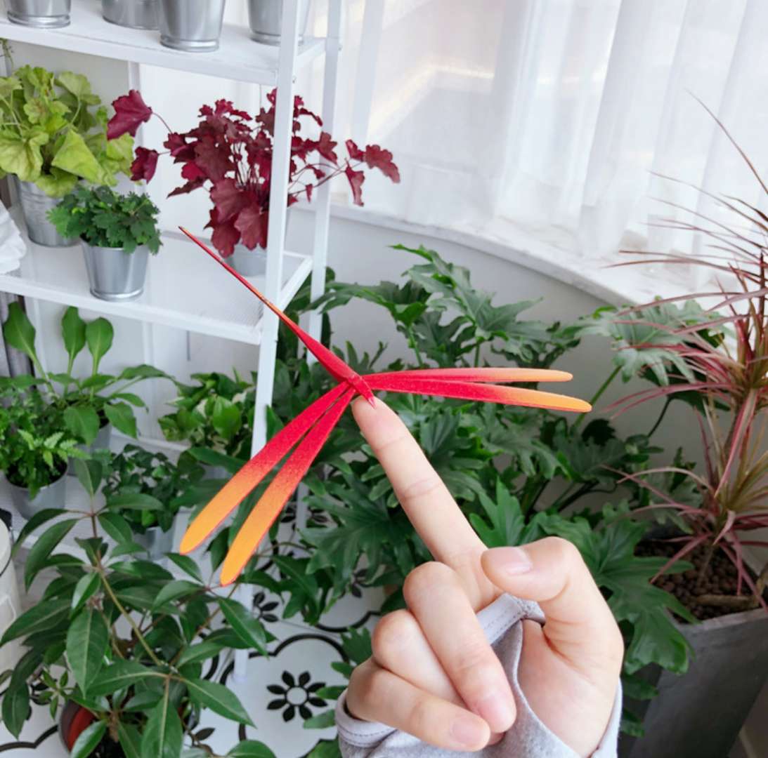 旅行爱好者装修房间,旅行博主改造农村小院